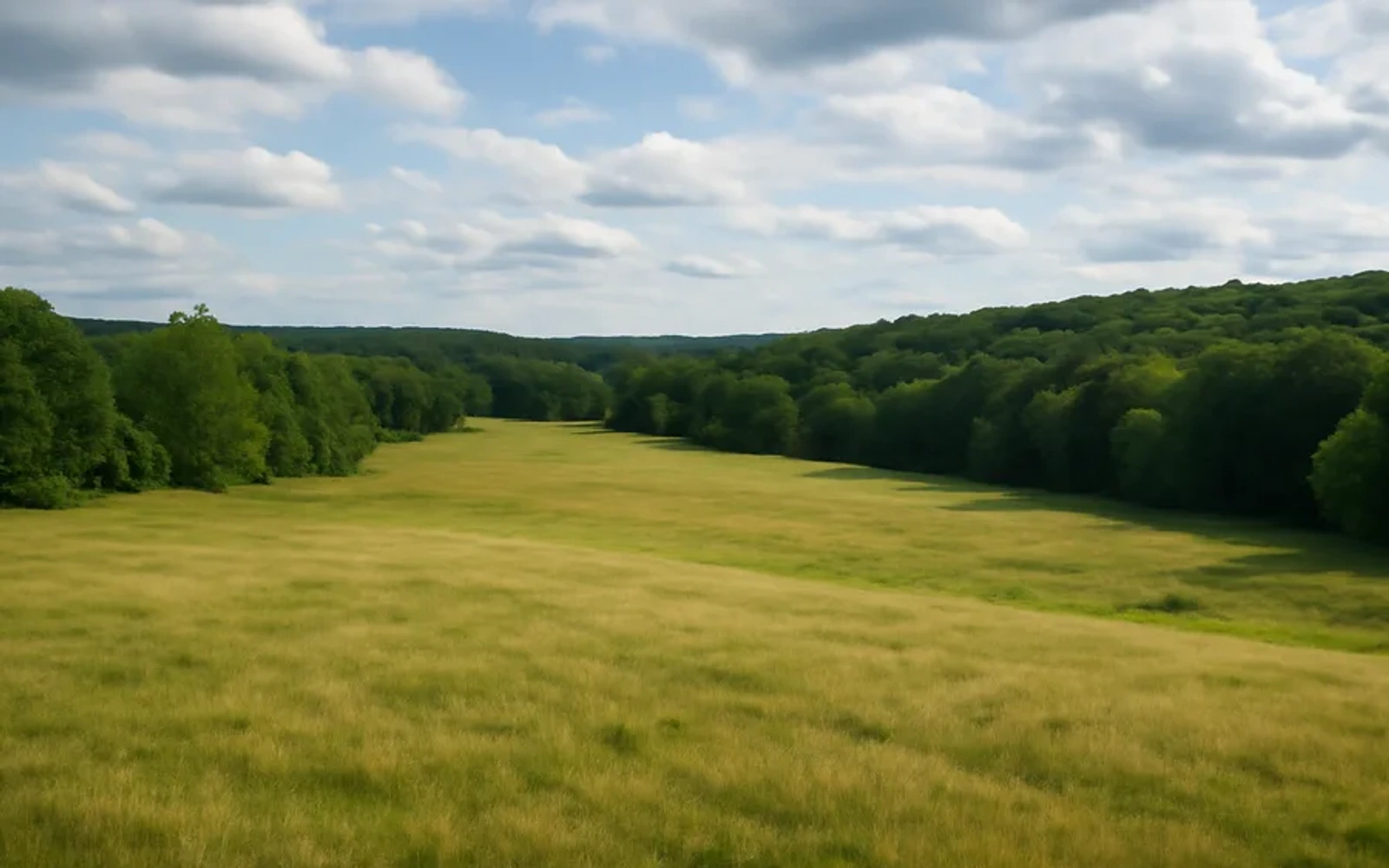 Rural acreage in Knox County