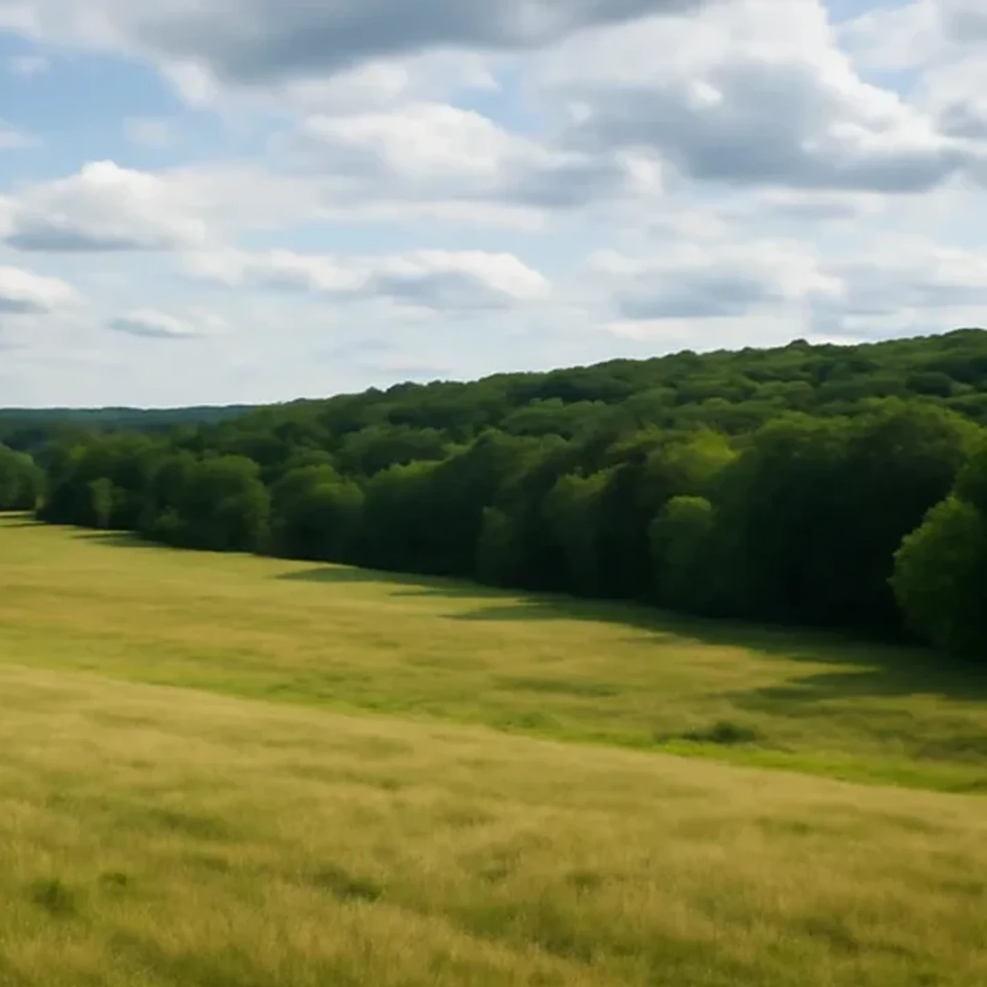 Westbrook vacant land, wooded acreage, and rural parcels in Maine